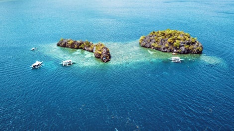 Thrilling 12-Day Palawan & Cebu Islands Diving Package from Manila City - day 9