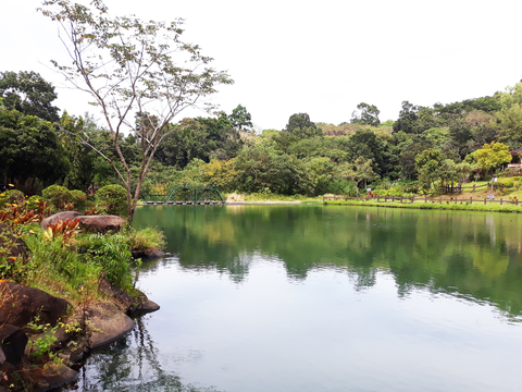 Private Transfer Between Bacolod Seaport and Any Hotel in the City