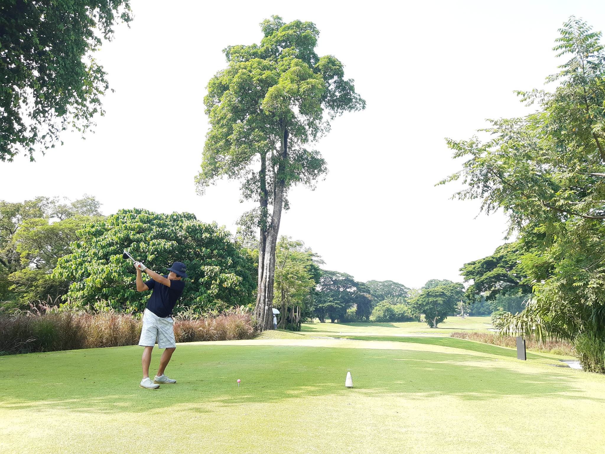 Mimosa Plus Golf Course