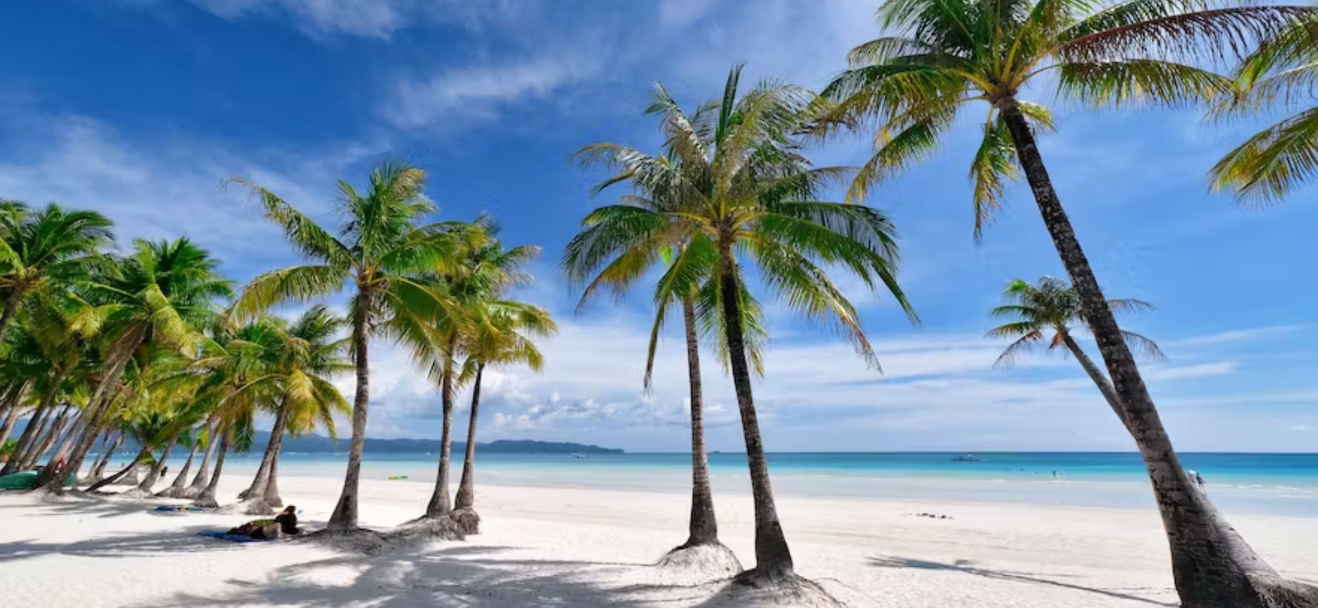 Trees in White Beach