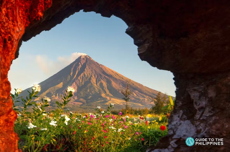 Mayon Volcano and flowers Mayon Volcano and flowers