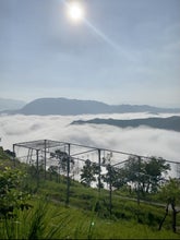 Get the chance to see the sea of clouds