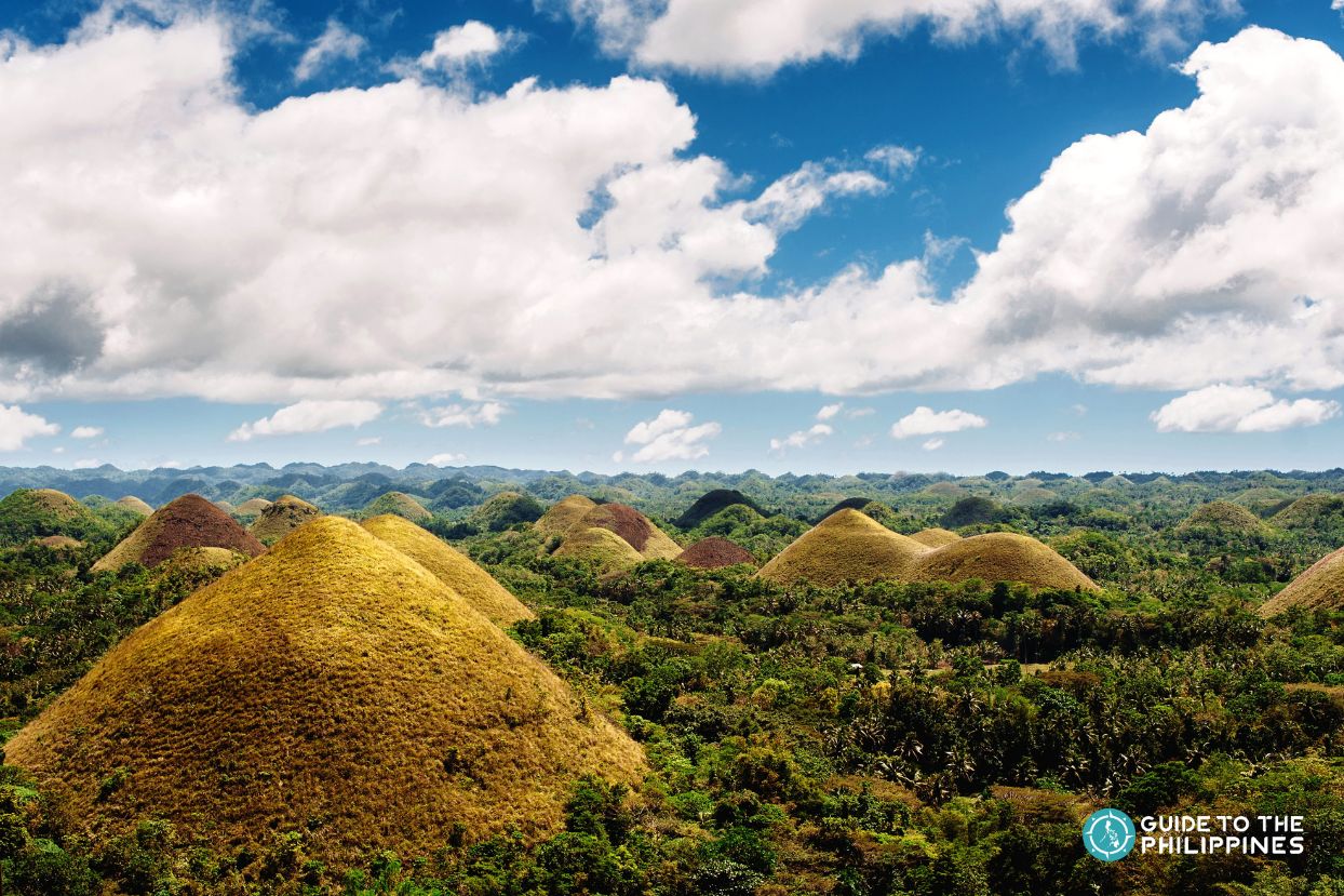 Chocolate Hills Bohol
