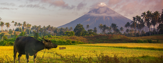 Incredible 1-Week Bicol Region Nature Sightseeing Tour Package from Manila City