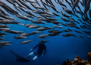 Fun-Filled 10-Day Palawan & Cebu Islands Beaches & Nature Adventure Tour Package from Manila City