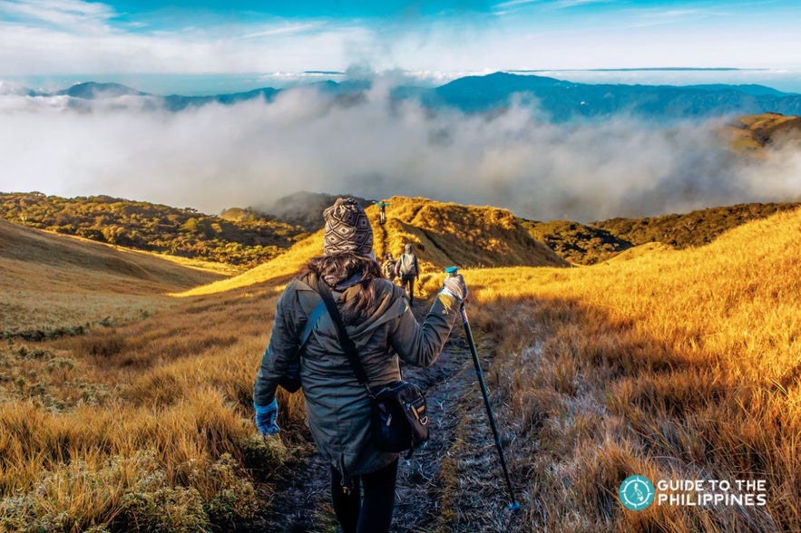 Mt Pulag hiker Mt Pulag hiker
