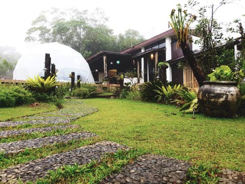 Fun 7-Day Cebu & Bohol Islands with Laguna Province Glamping Tour Package from Manila City