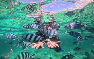 Port Barton San Vicente Tour from Puerto Princesa | Twin Reef, Turtle Sanctuary, Paradise Island