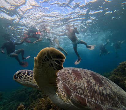 Port Barton Island Hopping Tour in Palawan with Lunch
