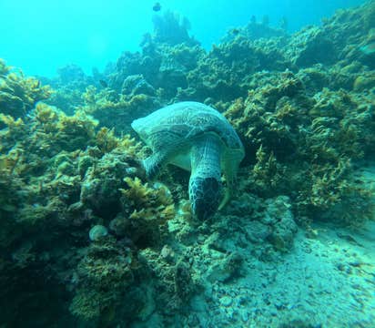 Port Barton Island Hopping Tour in Palawan with Lunch