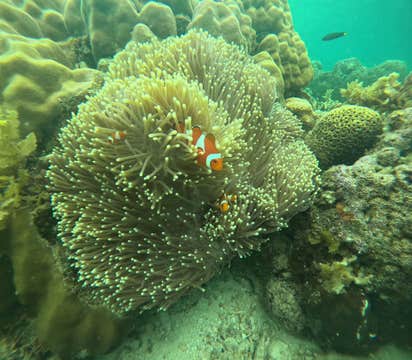 Port Barton Island Hopping Tour in Palawan with Lunch