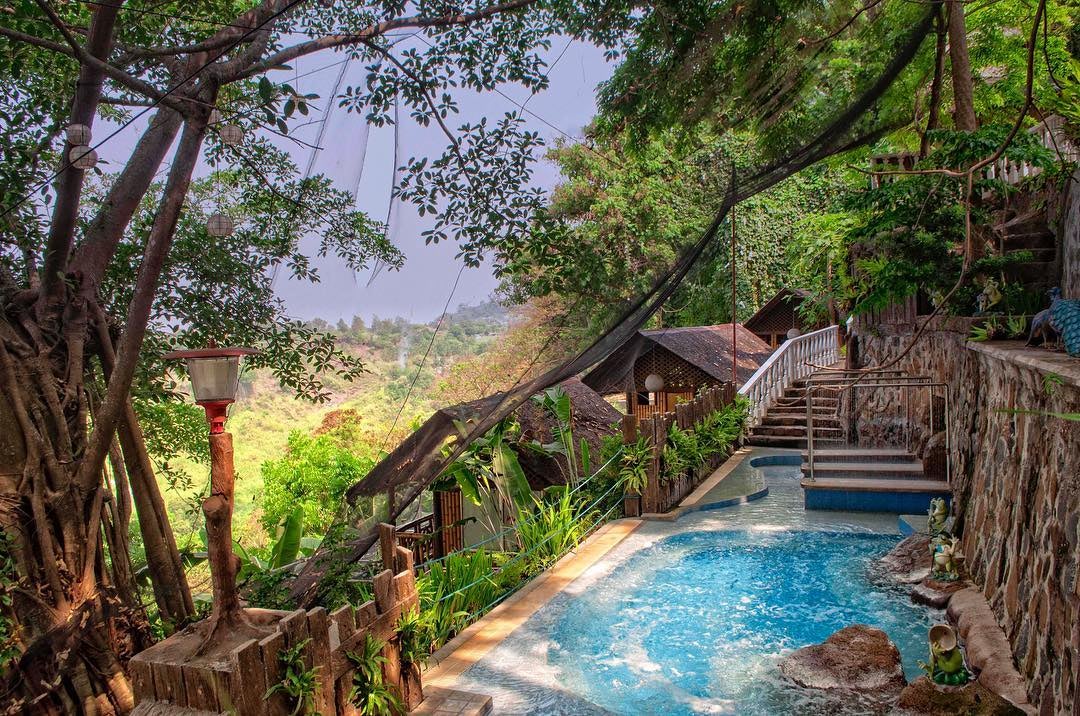 Luljetta's Hanging Gardens