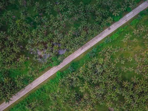 Siargao Tuktuk Rental Self-Drive in General Luna| Private & Whole Day