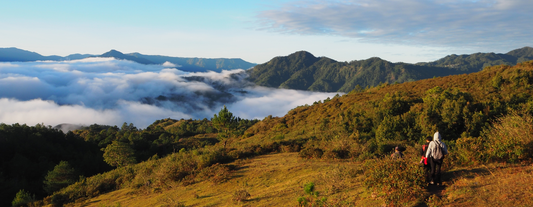 2-Day Sagada Adventure Shared Tour from Manila with Hotel & Trip to Banaue & Baguio Highlands