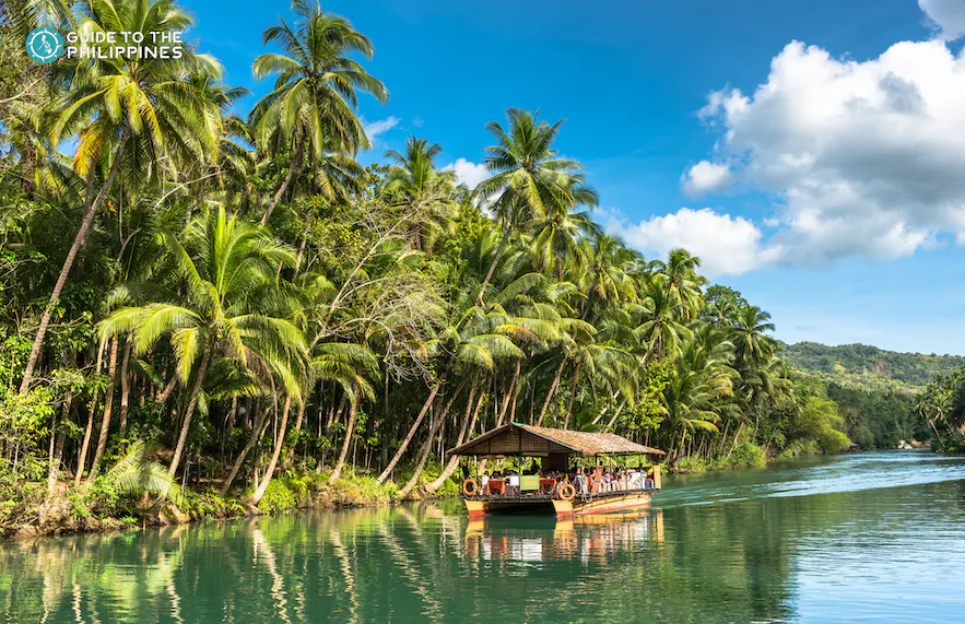 Enjoy a scenic Loboc River cruise when you upgrade your Bohol Island countryside tour.