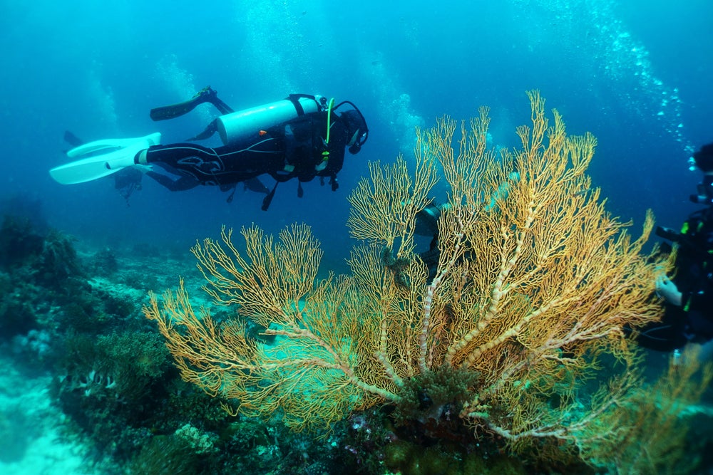 Thrilling 13-Day Palawan & Cebu Islands Diving Package from Manila City