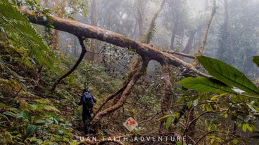 A hiker trekking through the forest trail of Mount Malarayat, one of the top hiking spots in Batangas Province