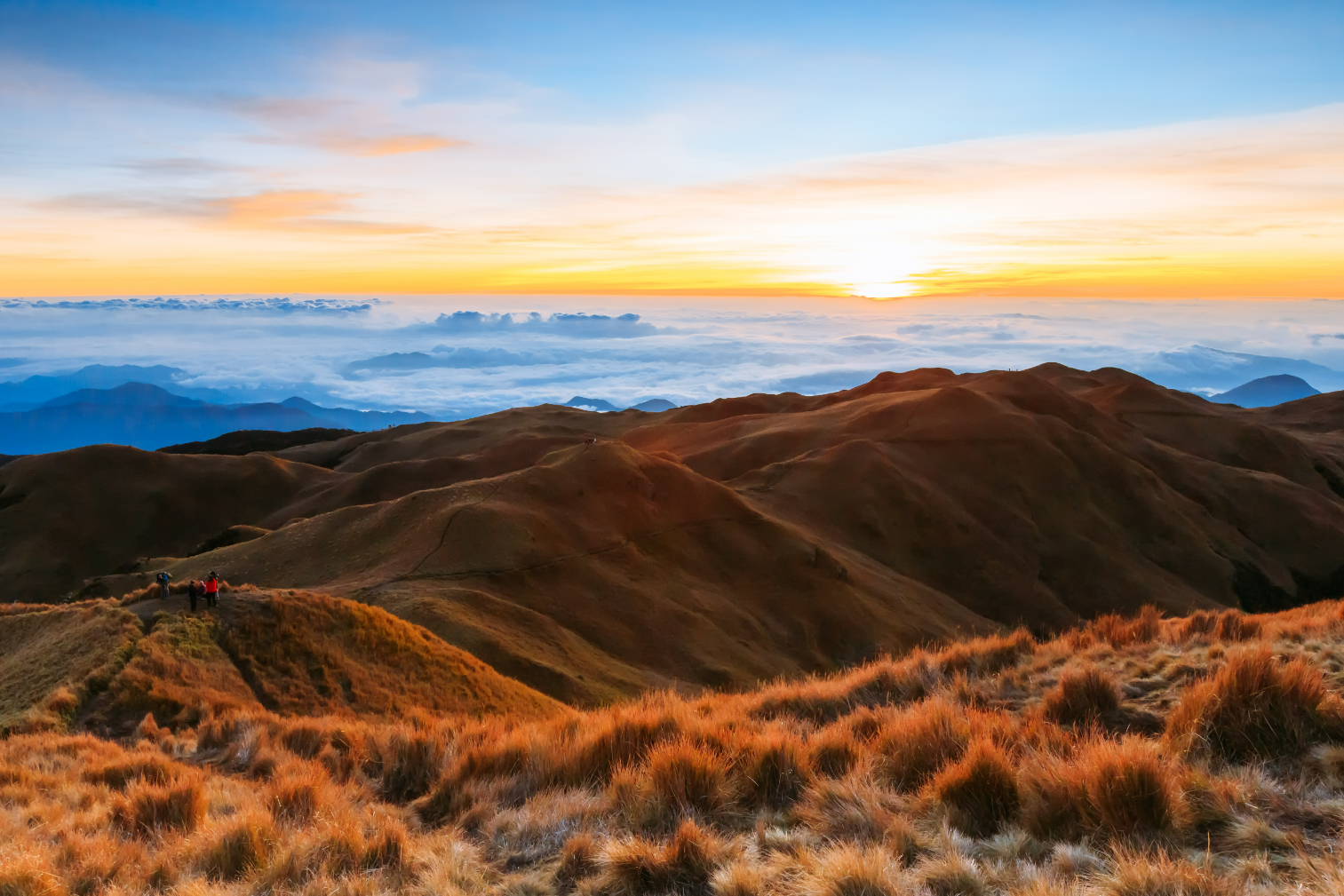 This joiner tour package allows travelers to experience the beauty of Mt. Pulag through an organized group adventure.