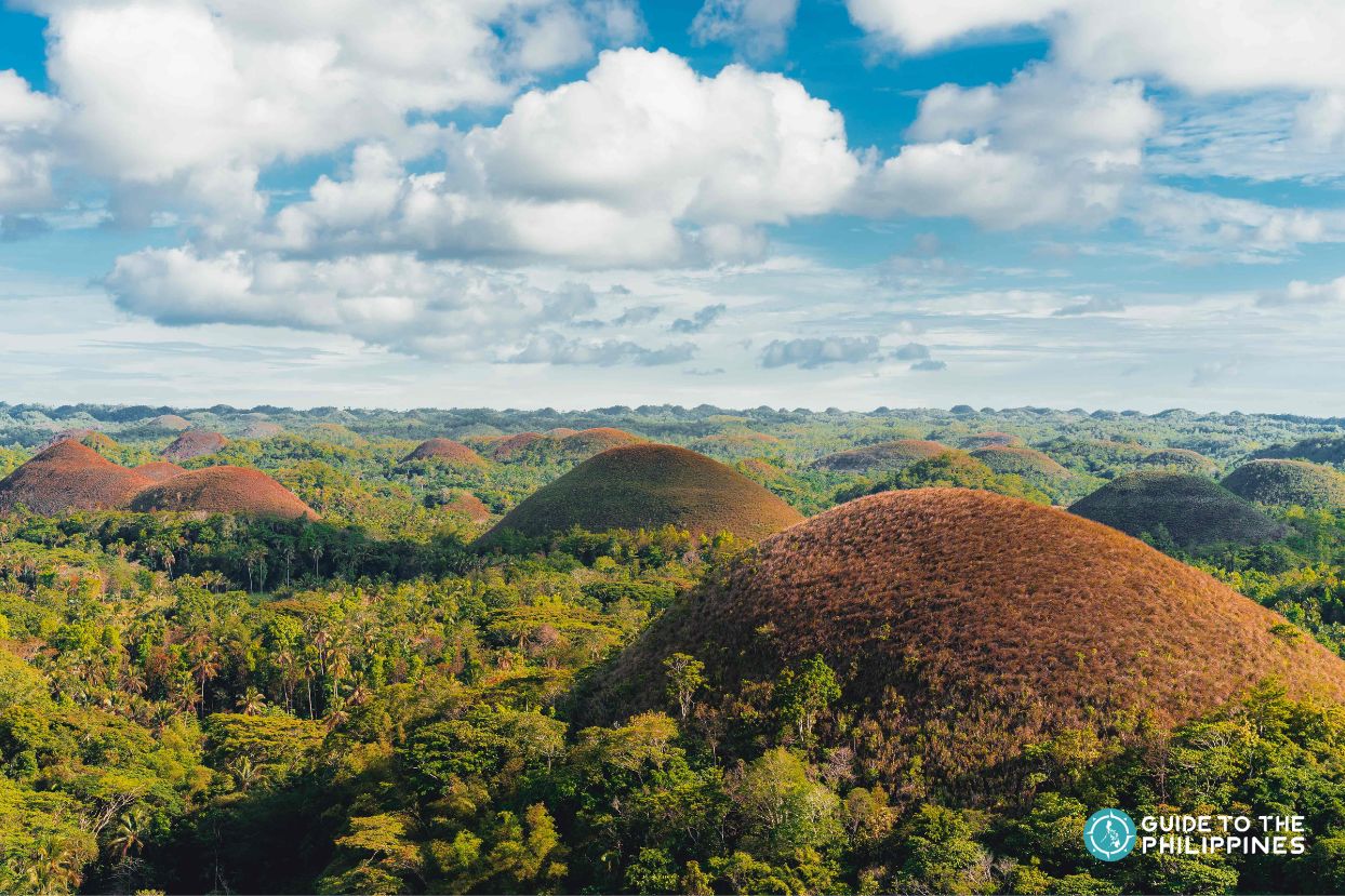 Chocolate Hills in Bohol