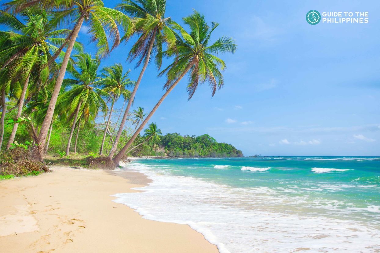 Longob Beach in Malapascua Island Cebu