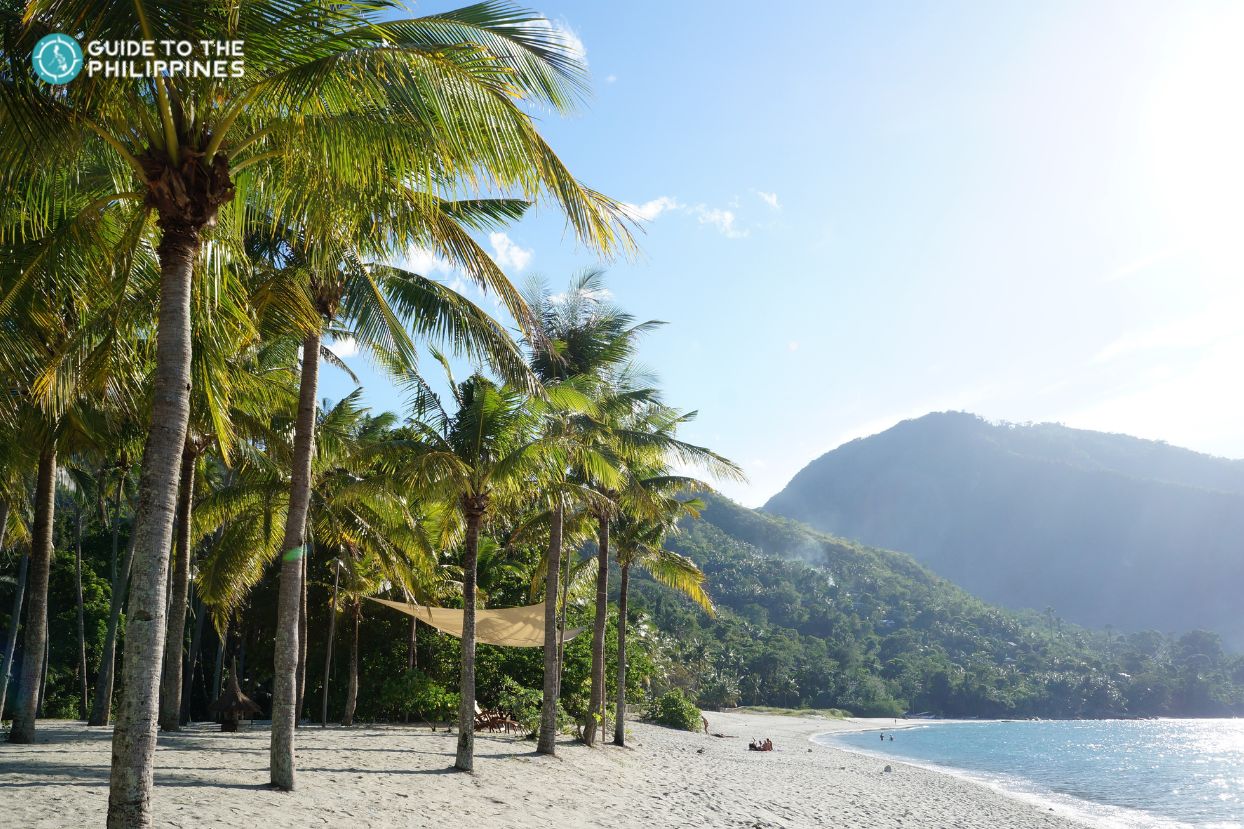 A beach in Puerto Galera