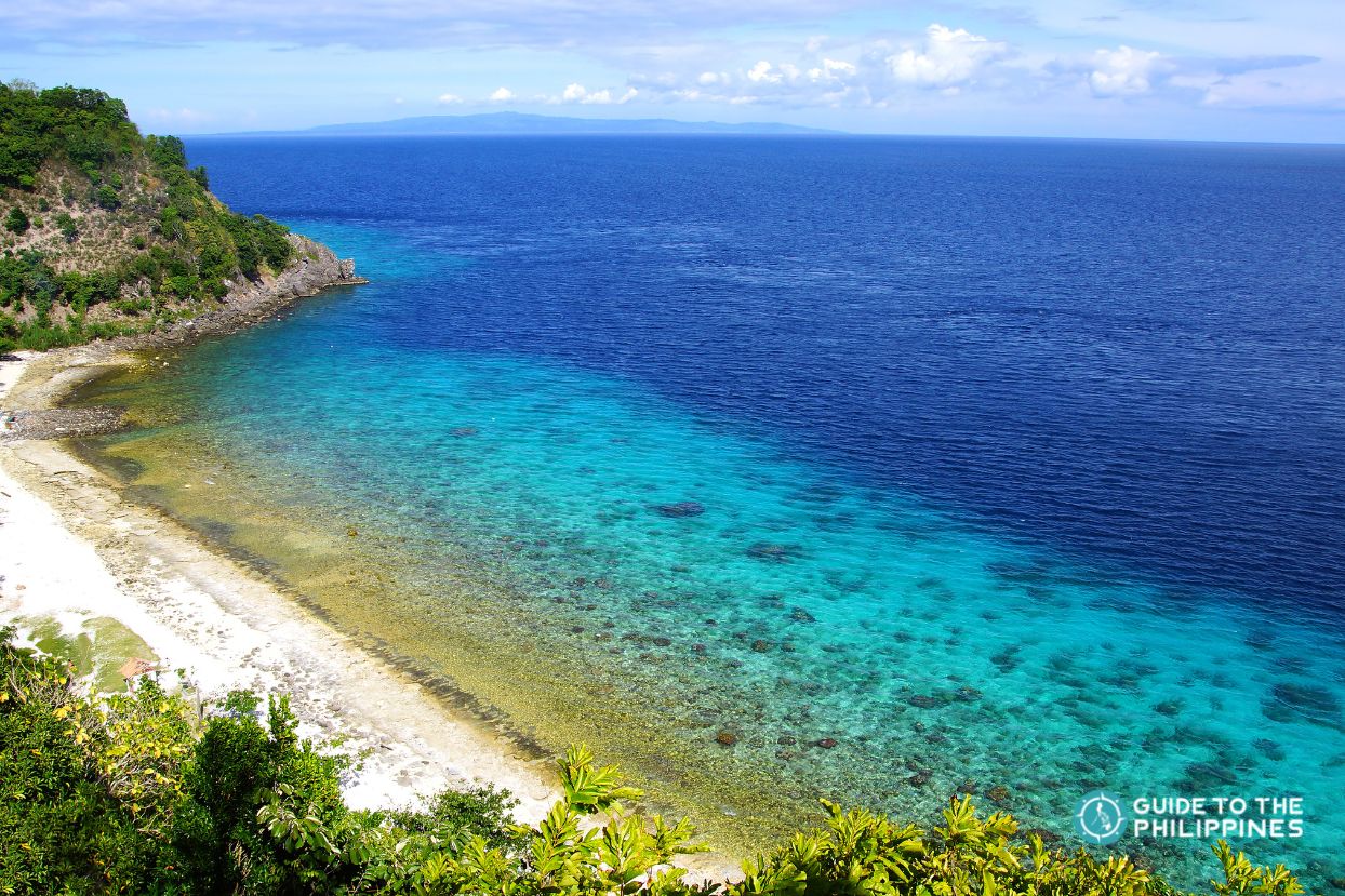 Apo Island in Dumaguete