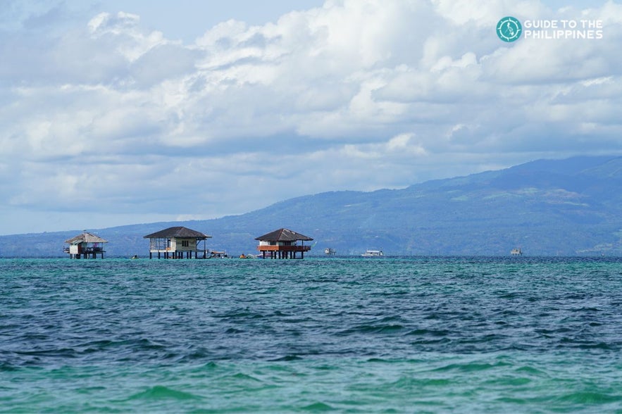 Manjuyod Sandbar in Dumaguete Manjuyod Sandbar in Dumaguete