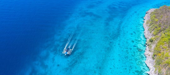 Top Banner (Aerial view of a boat in Moalboal .jpg