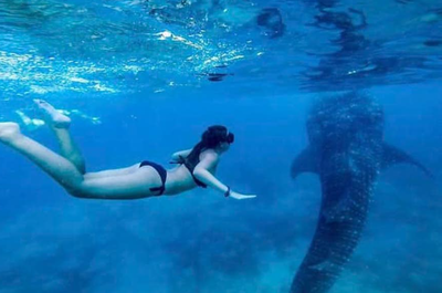 Ultimate 8-Day Whitewater Rafting, Waterfalls & Whale Shark Adventure Package from Manila City - day 4