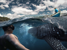 Epic 7-Day Waterfalls & Whale Shark Tour Package to Cebu & Laguna with Airfare & Breakfast