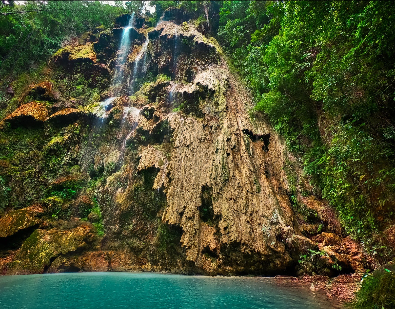 Epic 7-Day Cebu Island & Laguna Province Waterfalls & Whale Shark Tour Package from Manila City - day 6