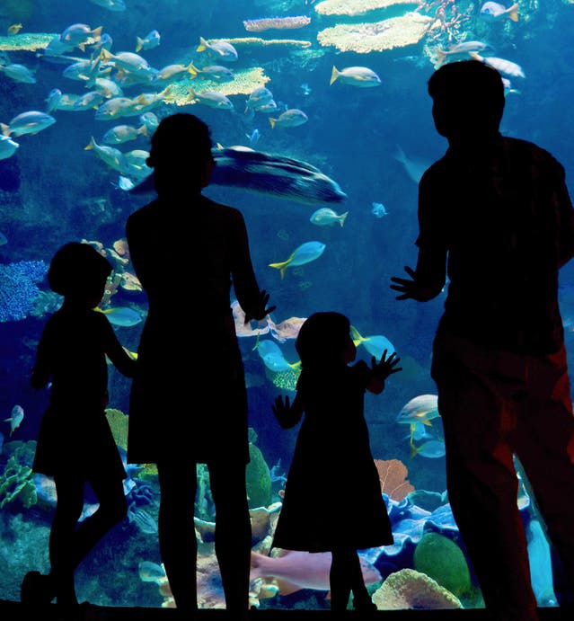 Philippine Zoos & Aquariums