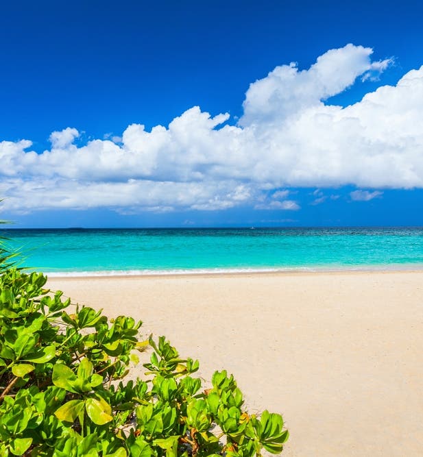 Philippine Shared Tours for Solo Travelers