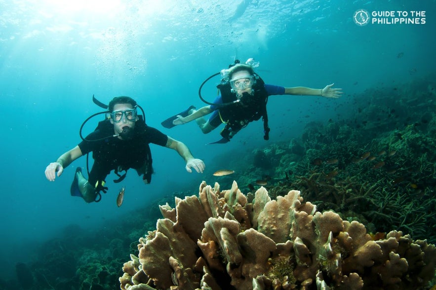 Tourists scuba diving in the Philippines Tourists scuba diving in the Philippines