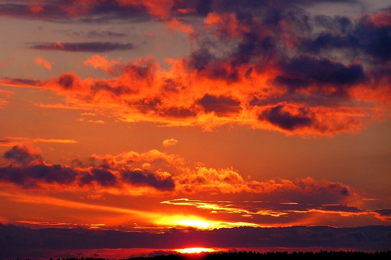 Sunset view in Catangnan Bridge