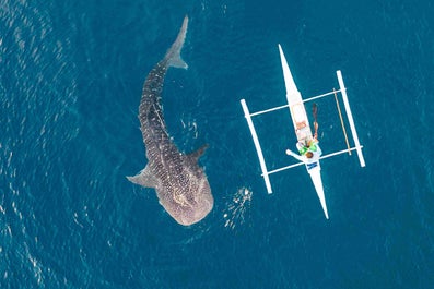 Exciting 12-Day Waterfalls & Whale Shark Adventure Tour Package from Manila City - day 6