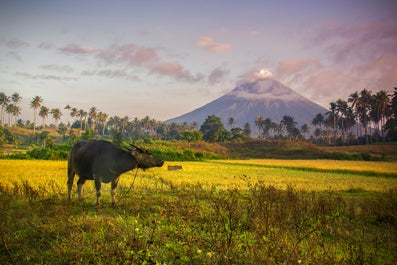 Amazing 7-Day Best Volcanoes Adventure Tour Package from Manila City - day 4