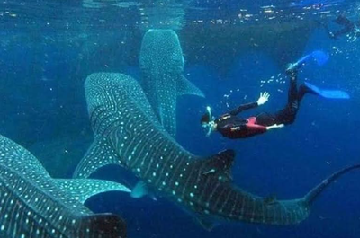 Best 15-Day Thrilling Adventures Tour Package from Manila City - day 9