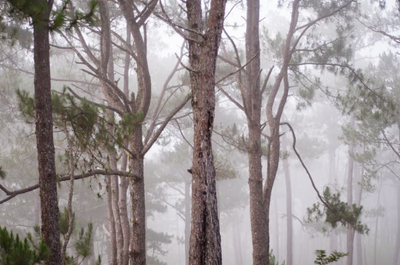 7-Day Sagada Highlands & Laguna Province Caves and Waterfalls Tour Package from Manila City - day 7