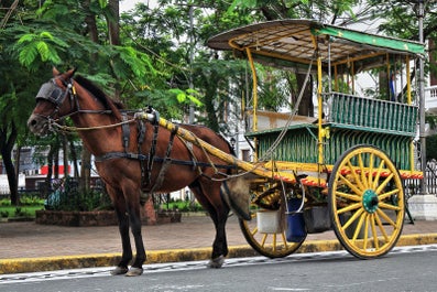 10-Day Senior-Friendly Boracay Island Beaches with Iloilo & Bacolod Cities Tour Package from Manila - day 1