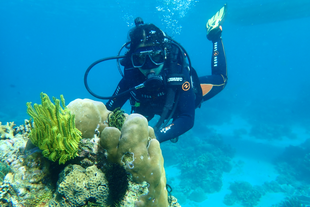 Introductory Dive in Anilao Batangas with Complete Gear & Divemaster Assistance