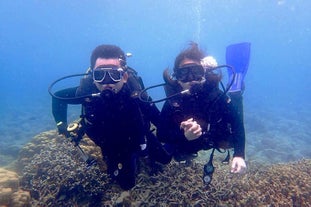 Anilao Batangas Dive Package with Gear & Divemaster Assistance | 2 Dive Sites