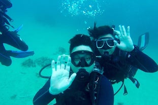 Anilao Batangas Dive Package with Gear & Divemaster Assistance | 2 Dive Sites