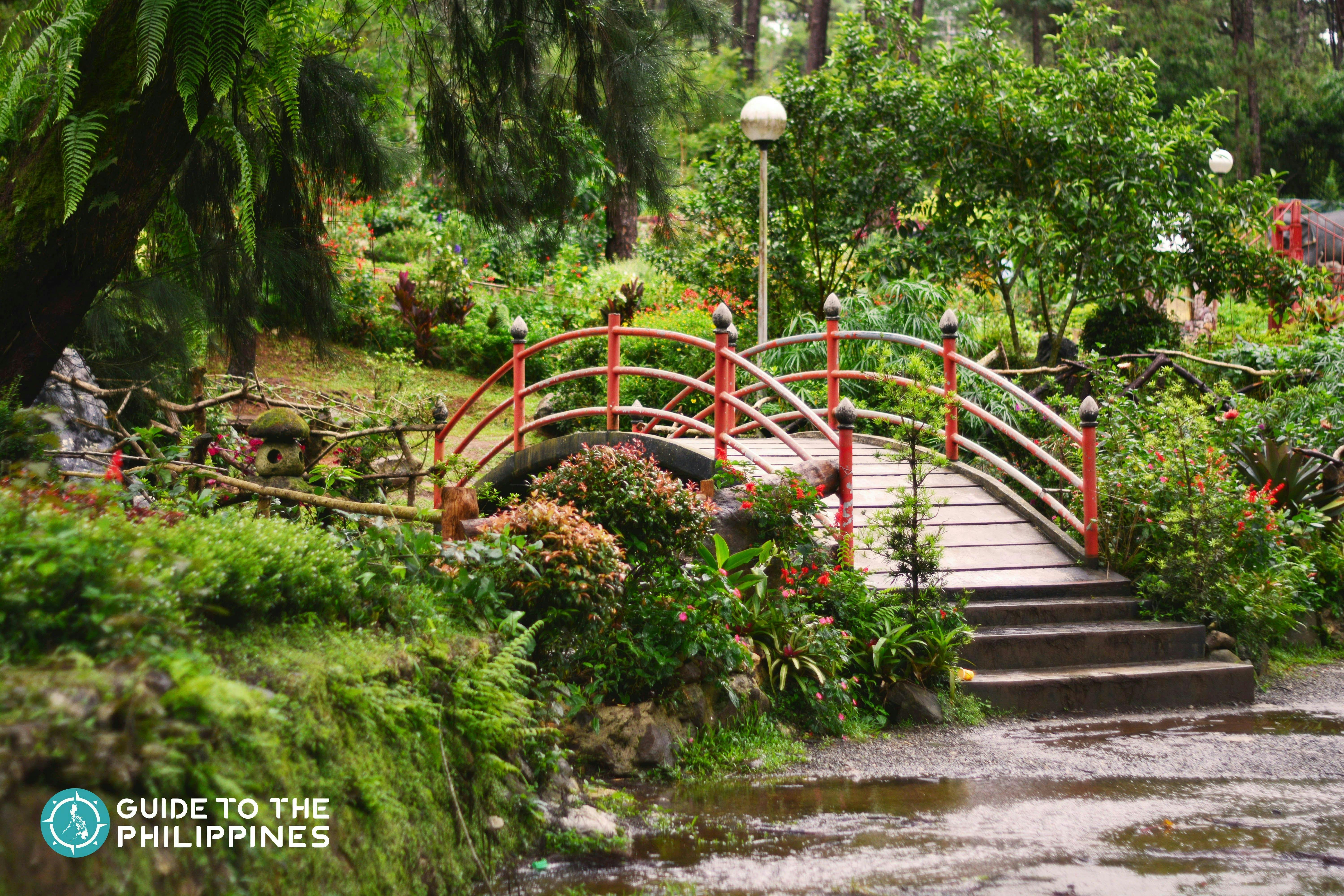 bridge inside the baguio botanical garden