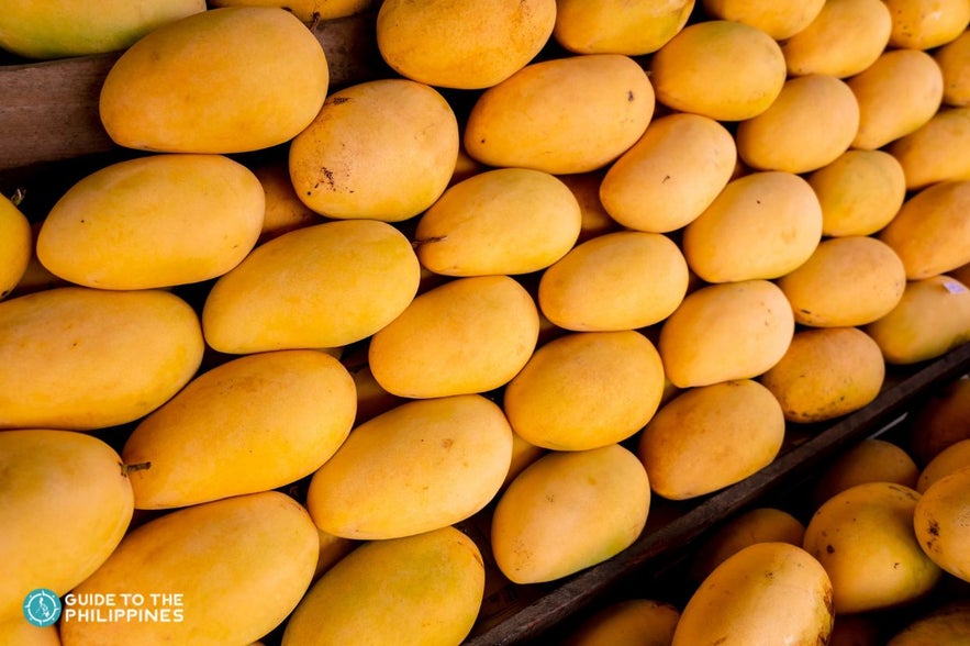 Manggahan Festival in Guimaras mangoes Manggahan Festival in Guimaras mangoes