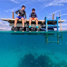 2-Day Enriching Introductory Dive Package to Anilao Batangas with Altamare Dive & Leisure Resort - day 1