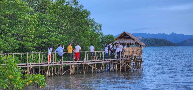 Firefly Watching in Coron Town with Dinner & Transfers