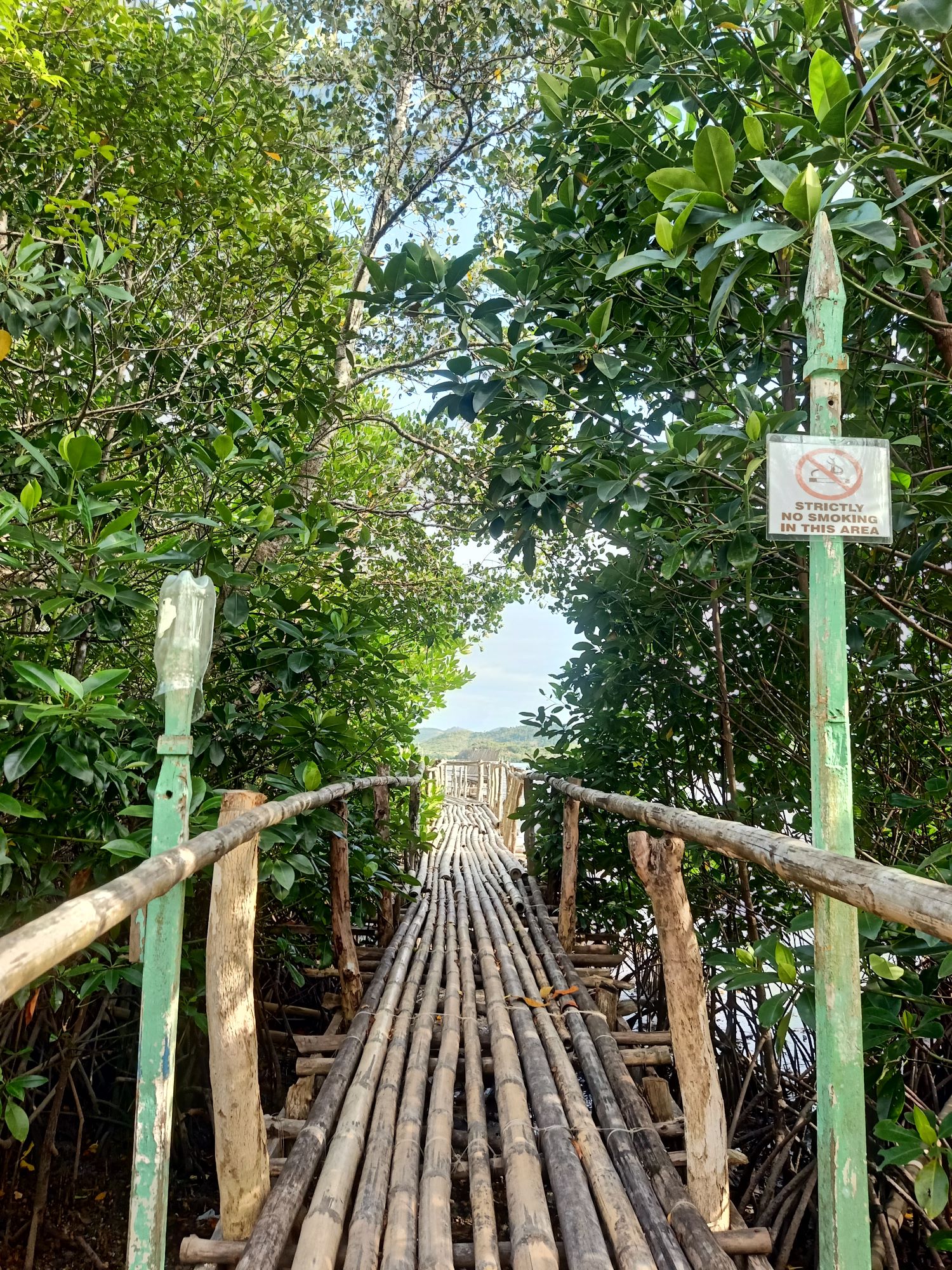 Follow bamboo walkways on your firefly-watching tour in Coron town.