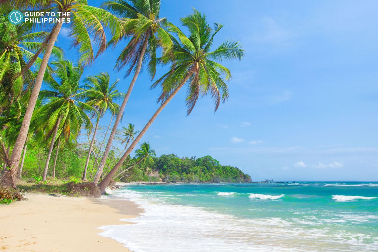 Langib Beach in Malapascua Island, Cebu