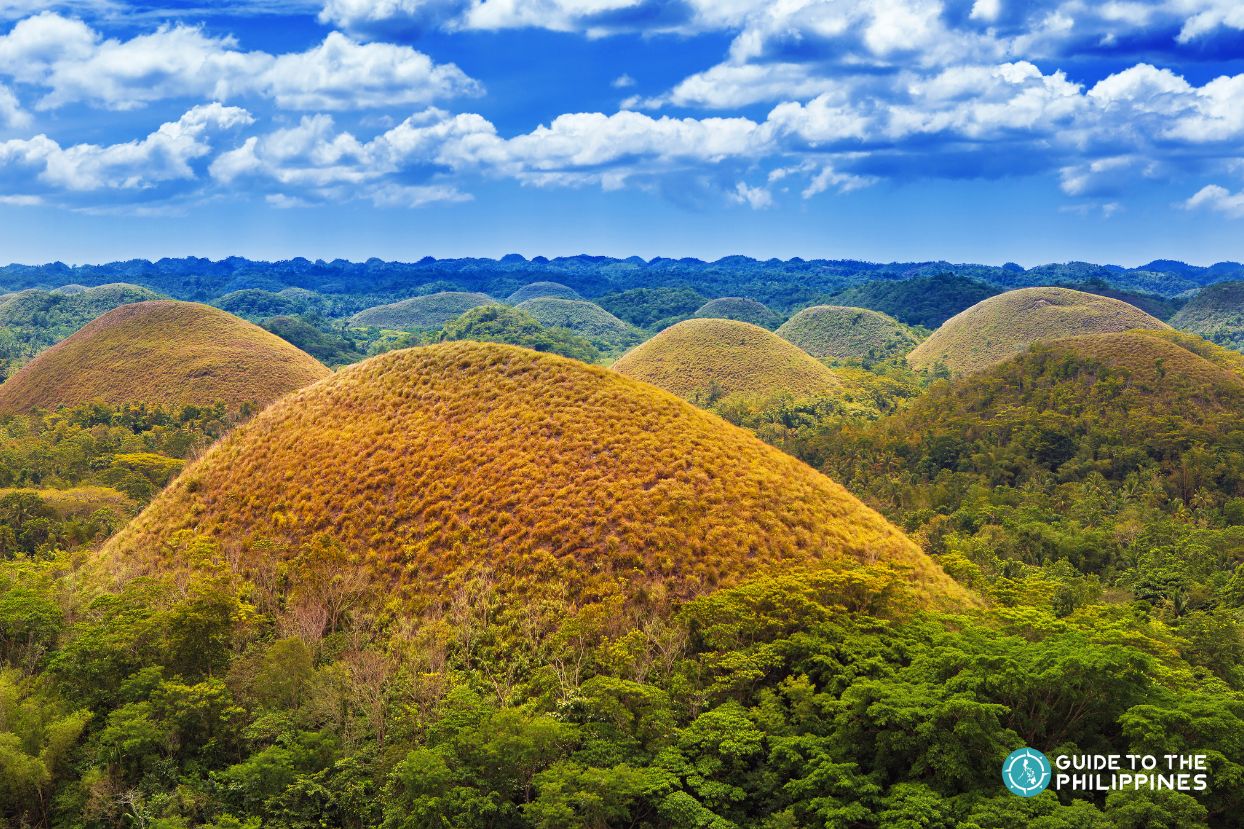 Chocolate Hills in Bohol